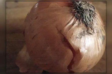 Куриные рулетики "полёт  над  гнездом куры": шаг 4