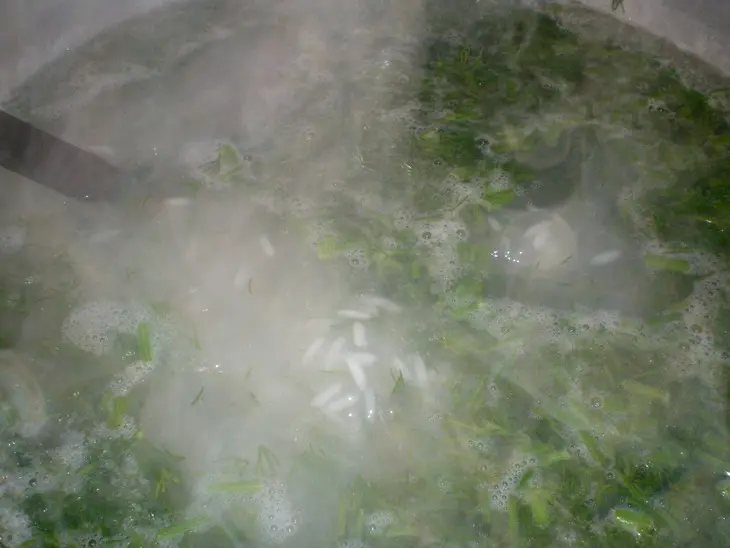 Шуйуд плов - плов с укропом и голяшками: шаг 7