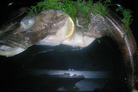 Запеченная рыба ( ледяная) с укропно-томатным соусом: шаг 4