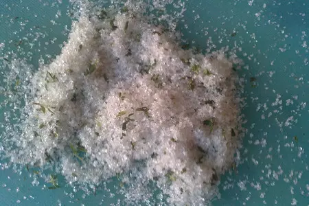 Шоколадное печенье с чабрецом и апельсином: шаг 4