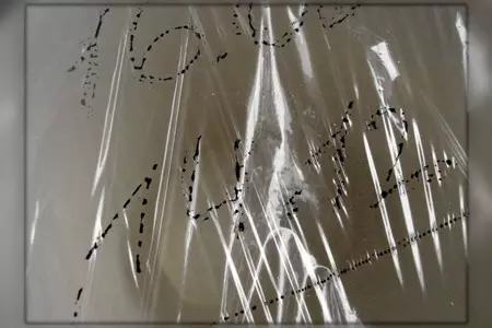 Дуэльный флирт. - хлеб "шоколадный лабиринт" ...от меня с любовью! вам, всем моим друзьям...: шаг 2