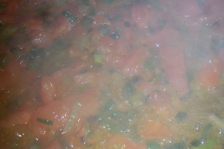 Fettuccelle   с  креветками и устрицами в сырном соусе.: шаг 10