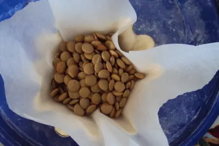 Корзиночки с творожным кремом и клубникой: шаг 6