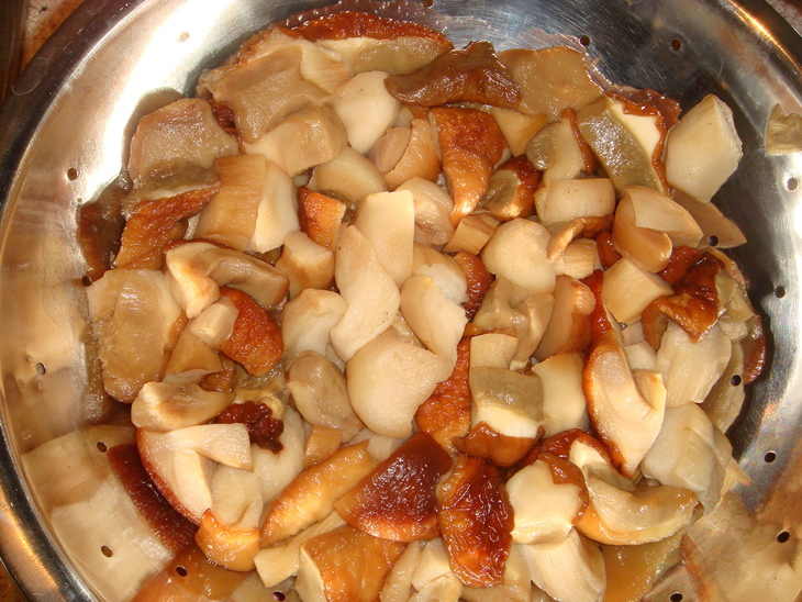 Каннеллони, фаршированные грибами с сыром в сливочно-шпинатном соусе: шаг 1