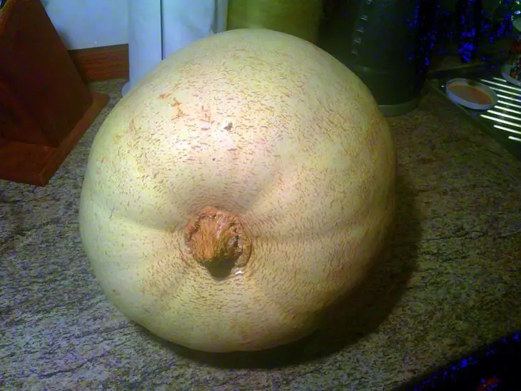 Мясо в тыкве: шаг 1