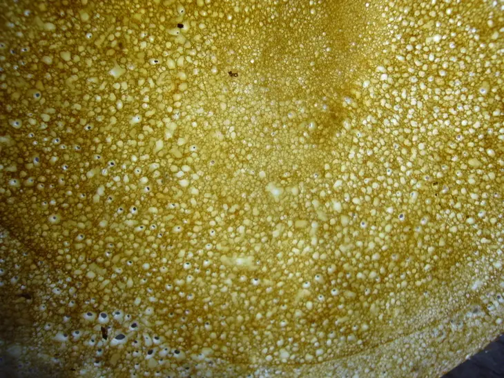 Пивные блины с грилованными овощами и сливочно - хреновым соусом.: шаг 1