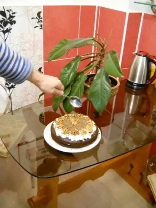Праздничный тортик с черносливом, шоколадом и орехами: шаг 2