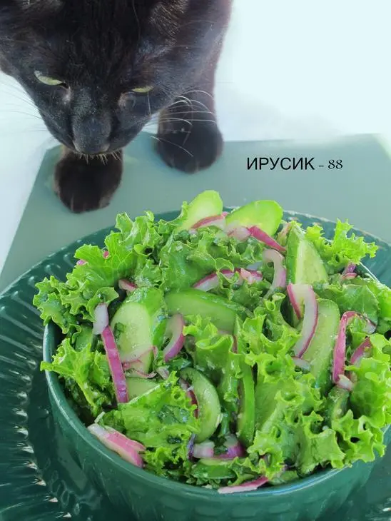 Салат  из огурцов с хреновинкой: шаг 3