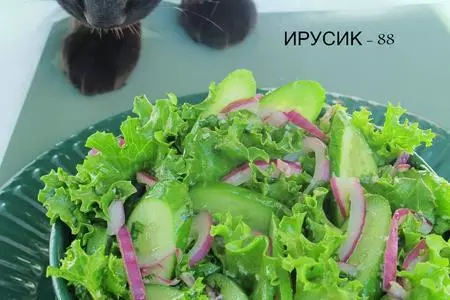 Салат  из огурцов с хреновинкой: шаг 3
