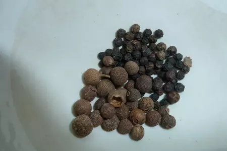 Шашлык...жарим не выходя из городской квартиры ( невероятно вкусный шашлык): шаг 1