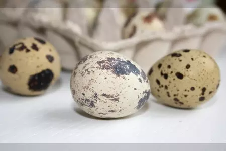 Творожные булочки из гречневой муки с яичным паштетом и вишнёвым вареньем без сахара: шаг 9