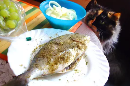 Дорадо запеченная в духовке с мятой и дыней: шаг 2