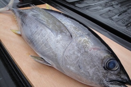 Свежий желто-пёрый тунец с макадамия орехами: шаг 1