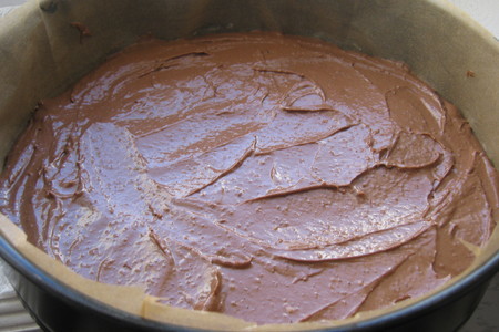 Шоколадный торт - пирог  ( sour cream and nut slice): шаг 5