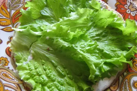 Торт кабачковый,закусочный.(дуэль): шаг 6