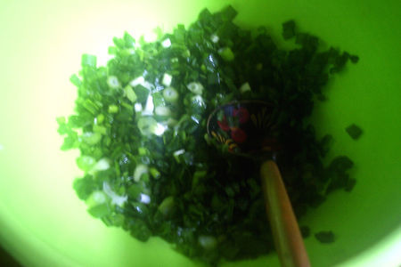 Оладьи "зелёный лучок" для моего друга кристины (sigma 002): шаг 2