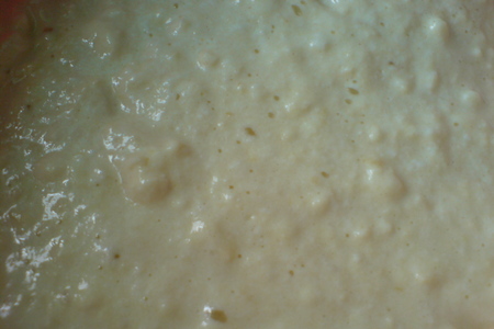 Оладьи из  зернистого творога  (cottage cheese pancakes): шаг 3