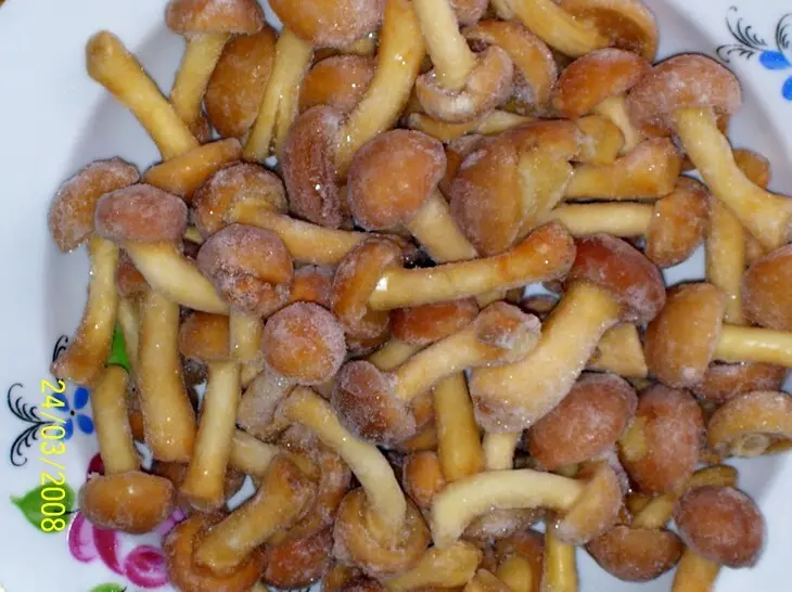 Киш с грибами и картошкой: шаг 3
