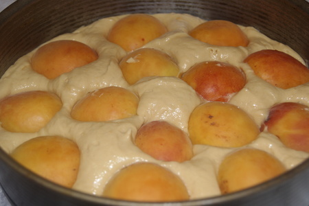 Медовый бисквитный пирог с абрикосами: шаг 2