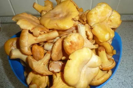 Песочный пирог " ароматный" с лисичками, сыром и луком: шаг 3