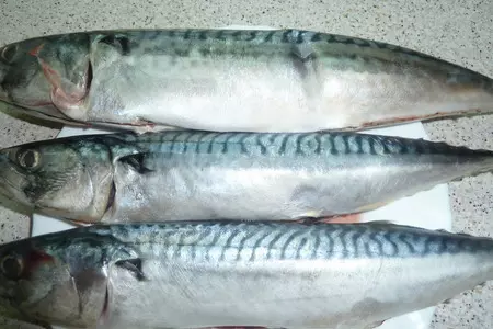 Скумбрия плаки ( скумбрия запеченная с овощами) критская кухня: шаг 4