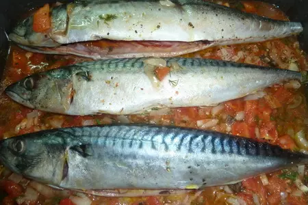 Скумбрия плаки ( скумбрия запеченная с овощами) критская кухня: шаг 5