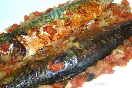Скумбрия плаки ( скумбрия запеченная с овощами) критская кухня: шаг 7