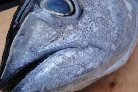 Паштет из копчёного тунца с грибами: шаг 1