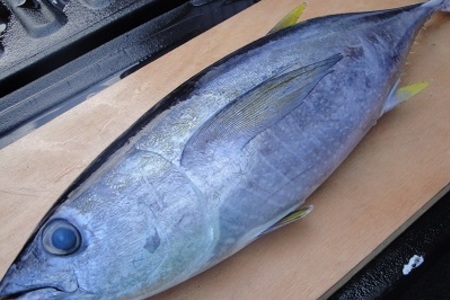 Свежий тунец с макадамия орехами и икрой летучей рыбы: шаг 1