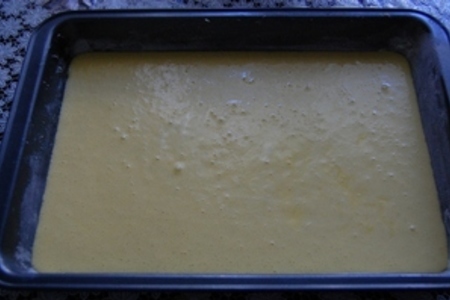 Цитрусовый бисквит с шоколадным кремом «lenôtre»: шаг 12