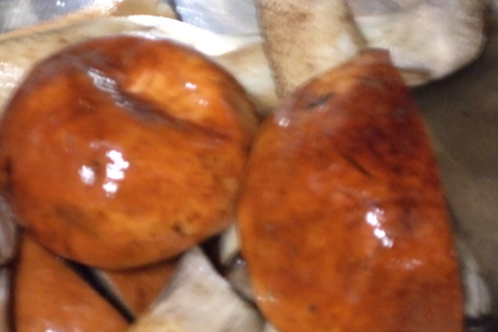 Грибы, ягоды поспели!!! лесные грибы тушеные со сметаной и запеченные с  сыром.: шаг 2
