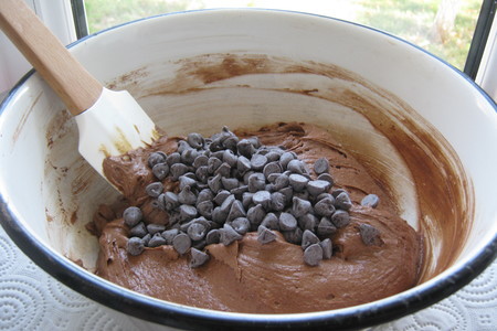 Торт-пирог « шоколадный »с шоколадными чипсами и  в шоколадной панакоте (ultra choc-chip cake).: шаг 4