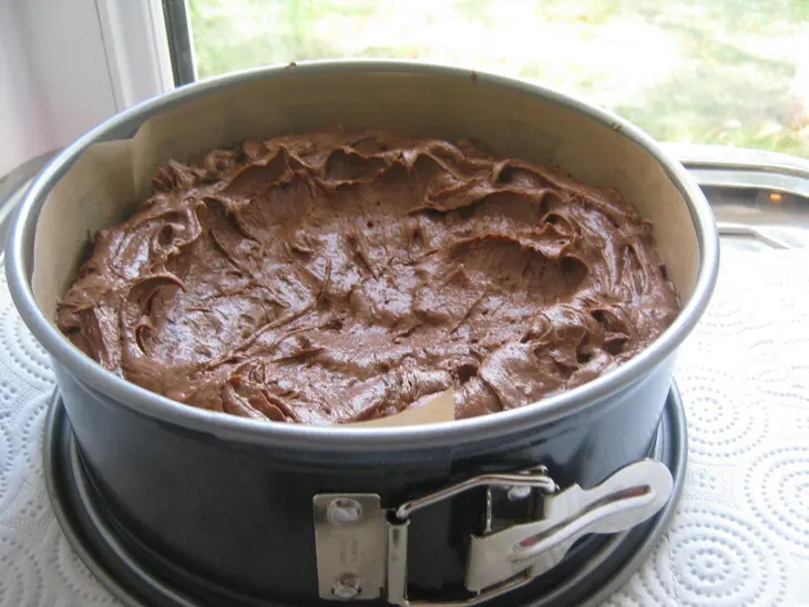 Торт-пирог « шоколадный »с шоколадными чипсами и  в шоколадной панакоте (ultra choc-chip cake).: шаг 5