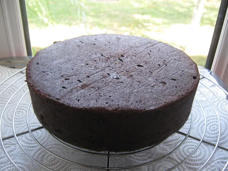 Торт-пирог « шоколадный »с шоколадными чипсами и  в шоколадной панакоте (ultra choc-chip cake).: шаг 6