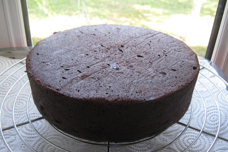 Торт-пирог « шоколадный »с шоколадными чипсами и  в шоколадной панакоте (ultra choc-chip cake).: шаг 6