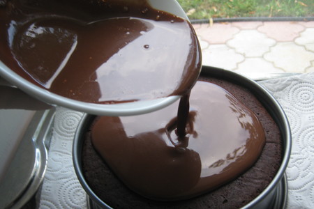 Торт-пирог « шоколадный »с шоколадными чипсами и  в шоколадной панакоте (ultra choc-chip cake).: шаг 9