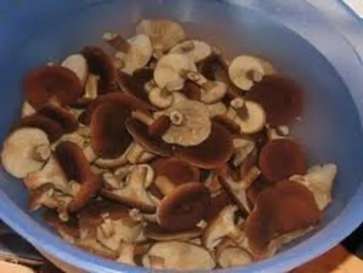 Горькушки – солёные и маринованные: шаг 2