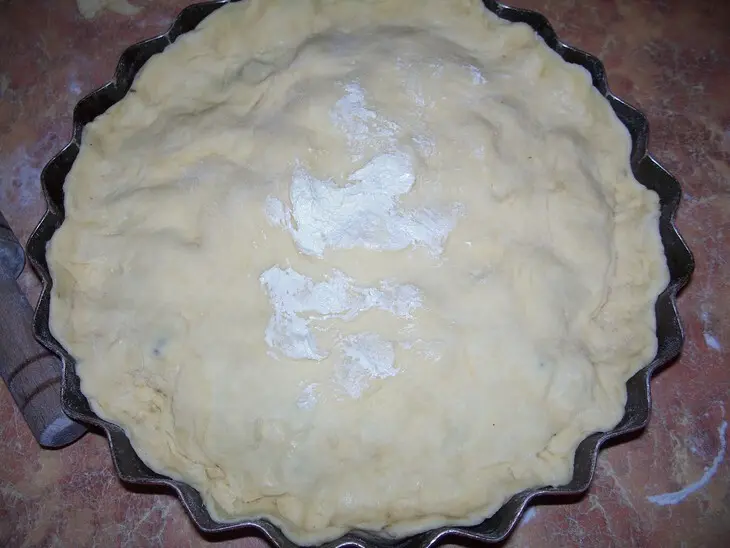 Английский пирог с говядиной, почками и грибами ("english steak &amp; kidney pie").: шаг 18