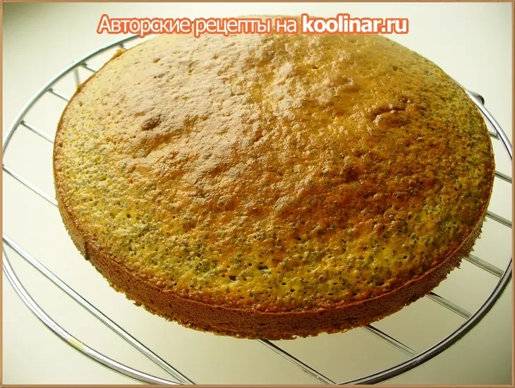 Маково-ореховый торт со сгущенкой «нежный, уютный, вкусно домашний»: шаг 10