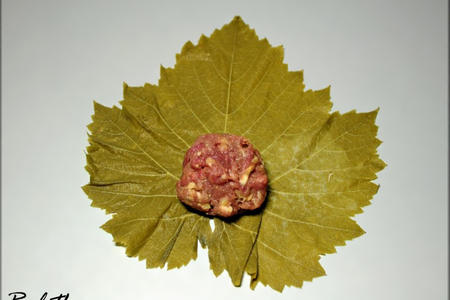 Виноградные листья фаршированные бараниной и булгуром под мятным соусом: шаг 5