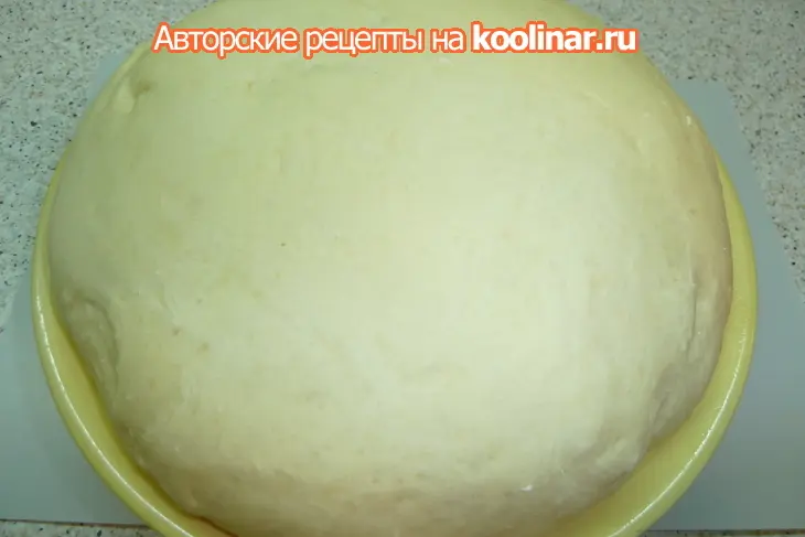 Сфинцуни  на чесночном тесте с курицей, моцареллой и сыром пекорино: шаг 10