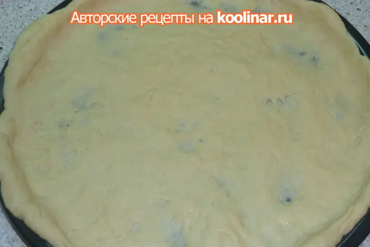 Сфинцуни  на чесночном тесте с курицей, моцареллой и сыром пекорино: шаг 11