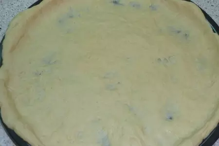 Сфинцуни  на чесночном тесте с курицей, моцареллой и сыром пекорино: шаг 11