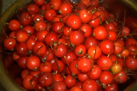 Варенье из райских яблочек: шаг 2