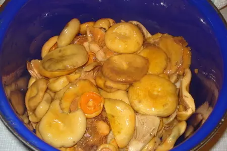 Маринованые рыжики/лисички: шаг 1