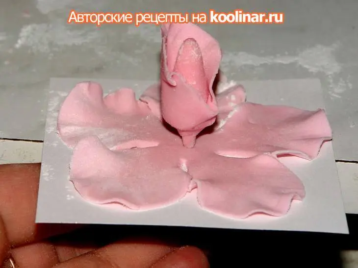 Торт "розовые розы": шаг 6