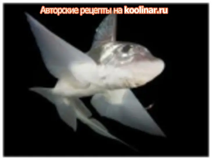 Белая рыба запеченая в кокосовом молоке: шаг 1