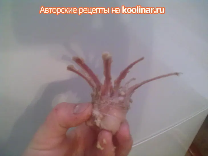 Кролик... и три блюда из него:"прощай год кролика"))): шаг 11