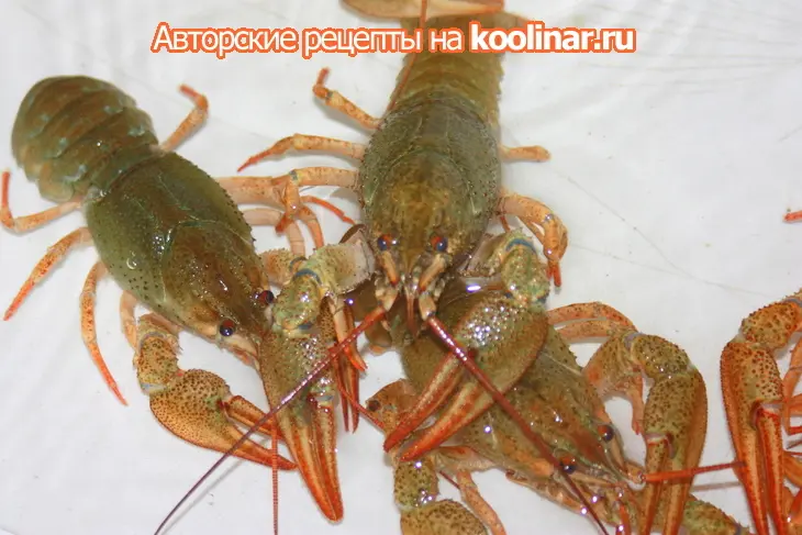 Раки отварные с лаймом и оливковым маслом.: шаг 1