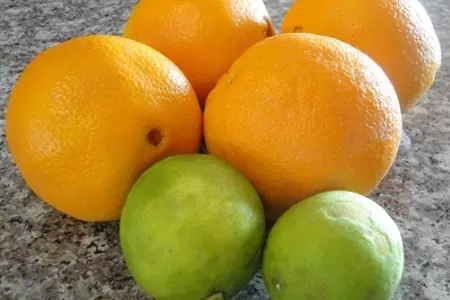 Рыбный суп с тунцом и апельсинами: шаг 2